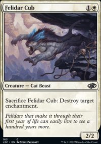 Felidar Cub - 