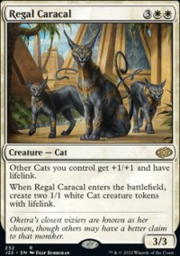 Regal Caracal - 