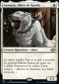 Isamaru, chien de Konda - 