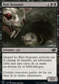 Rats bruyants - 