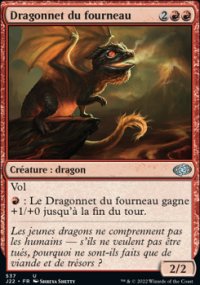 Dragonnet du fourneau - 