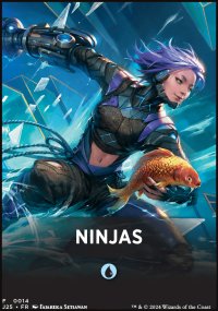 Ninjas - Jumpstart 2025