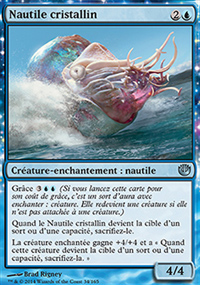 Nautile cristallin - 