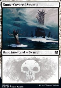 Snow-Covered Swamp - 