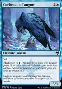 Corbeau de l'augure - 