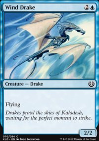 Wind Drake - 