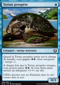 Tortue prospre - 