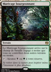 Marcage bourgeonnant - 