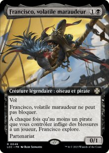 Francisco, volatile maraudeur - 