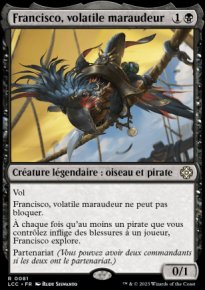 Francisco, volatile maraudeur - 