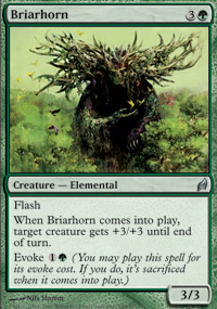 Briarhorn - 