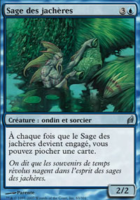 Sage des jachres - 