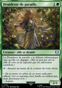 Druidesse de paradis - 