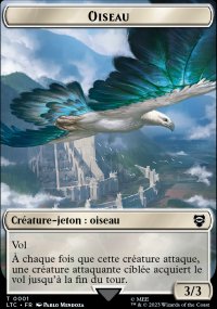 Oiseau - 