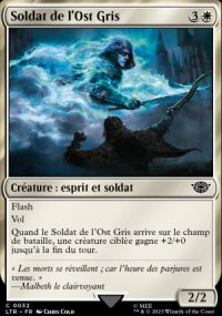 Soldat de l'Ost Gris - 