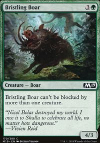 Bristling Boar - 