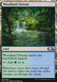 Woodland Stream - 