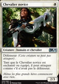 Chevalier novice - 