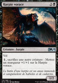 Harpie vorace - 