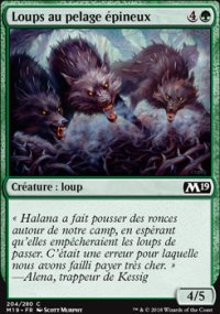 Loups au pelage pineux - 