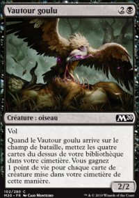 Vautour goulu - 