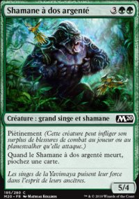 Shamane  dos argent - 