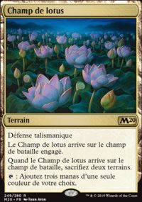 Champ de lotus - 