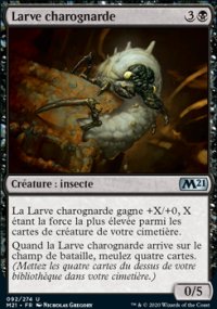 Larve charognarde - 