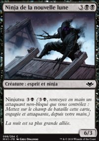 Ninja de la nouvelle lune - 