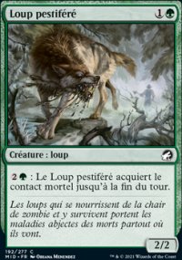 Loup pestifr - 