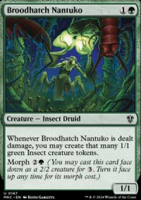 Broodhatch Nantuko - 