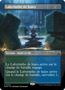 Labyrinthe de haies - 