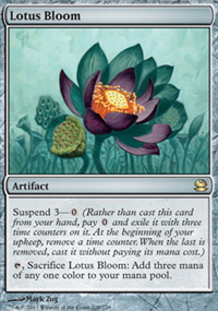 Floraison de lotus - 