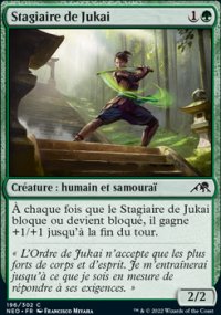 Stagiaire de Jukai - 