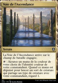 Voie de l'Ascendance - 