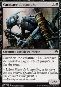 Carapace de nantuko - 