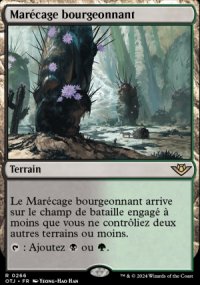 Marcage bourgeonnant - 