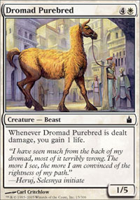 Dromade de race - Ravnica: City of Guilds