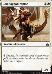 Compagnon raptor - 