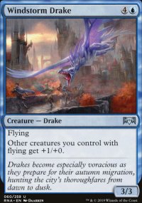 Windstorm Drake - 