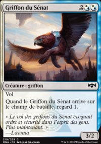 Griffon du Snat - 