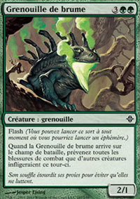 Grenouille de brume - 