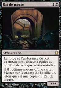 Rat de meute - 