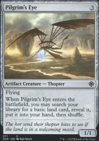 Pilgrim's Eye - 