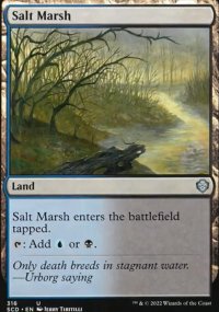 Salt Marsh - 