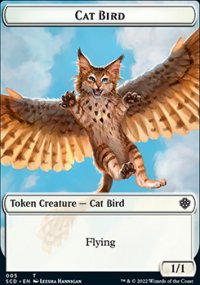 Cat Bird - 