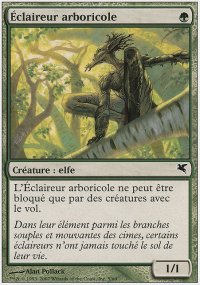 claireur arboricole - 