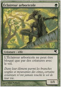 claireur arboricole - 