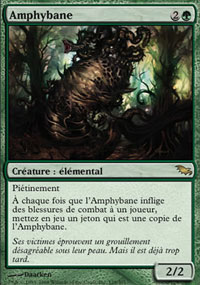 Amphybane - 