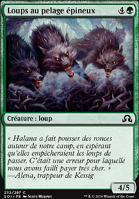 Loups au pelage pineux - 